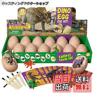 yzXXTOYS @Lbg  ߋ 12Zbg eBmTEX q v[g Mtg