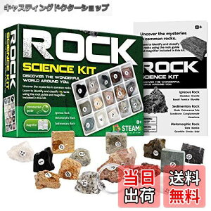 yzXXTOYS ΃RNV ȊwLbg nw qW{ Mtg v[g 15 g勾t