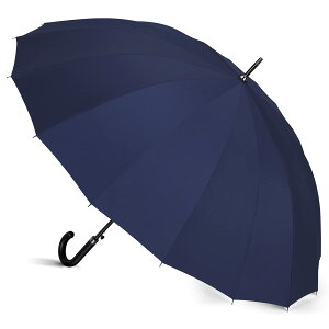 yzm16{ ɋn ~J΍ P Y P 傫  ^b` Wv  v y OXt@Co[ ʊw ʋ [|[`t