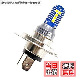 yzWllvie classy H4 LED ou 1 CG[ 12V 24V tHOv wbhCg 3030SMD 10W LEDou vXRg[