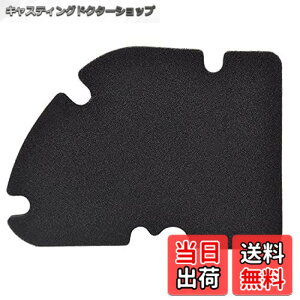 �y���������zAHL �G�A�t�B���^�[ �N���[�i�[ �K�p: �s�A�W�I MP3 250/VESPA GT 200/VESPA GT 60 250/VESPA GT L 200/VESPA GTS 250