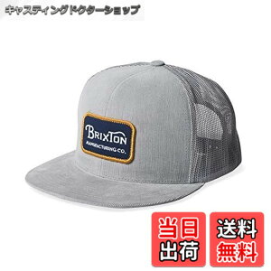 �y���������zBrixton Grade Mesh Trucker Cap, Silver, One Size