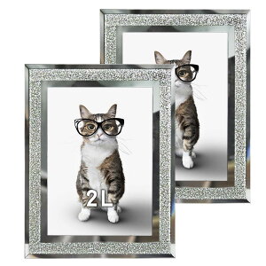 yztHgt[ KX ʐ^  a4E2LEnKL TCY LL cp z