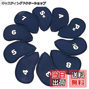 yzTSUCIA StNu Ԏt ₷ wbhJo[ ACAJo[ 10Zbg l[r[