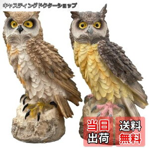 yzelrinrin u tNE K[f IuWF K[fjO jg JX 悯 G悯 A  J^  (Zbg)