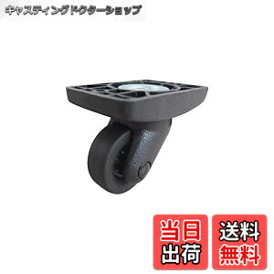 �y���������z���� New Hikari (�j���[�q�J��) �u���b�N�L���X�^�[ 40 (������) ����