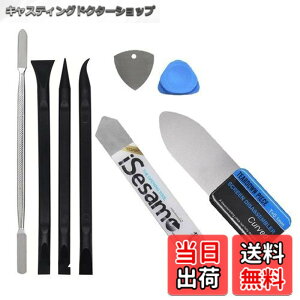 �y���������zWave Profesional �y (( �S��17.3cm-�g���₷���v���t�F�b�V���i�� ���^�� �X�p�b�W���[ )) + �A iSesamo �t���b�g�X�p�b�W���[ + 3��ނ� �񓱓d�i�C������ PC/Mac/�g�ѓ��C���p�c�[�� Spudger 