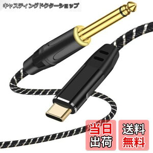 yzUSB Type-CM^[P[uAyp^CvC - 6.35mmIXϊR[h TCYF2M