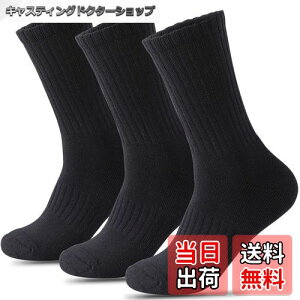 yz[HWVICTORYV] C Y X|[c\bNX  pC R hL  3Zbg 24-27cm  jO \bNX oXP oR Ɨp WjA w n  FF3 