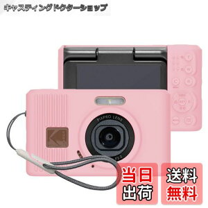 yzPIXPRO FZ45 fW^J P[X FF(sN)ATCYFkodak pixpro c1