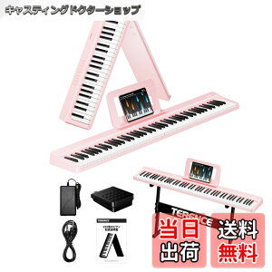 �y���������zTERENCE �d�q�s�A�m 88���� V20-Z �F�F�s���N�A�T�C�Y�F�R���p�N�g