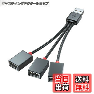 �y���������zSound Wave 4In1 USB�d���P�[�u�� 4����P�[�u�� USB-A �l�҃R�[�h 40cm (USB�I�X/USB���Xx4) 20+20cm ���d�E�[�d�̂� �l�� USBm-4f �T�C�Y�FUSB2.0 ���X 3�� 10cm