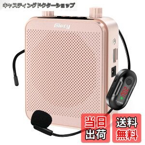 �y���������zGiecy �g���� ���C�����X�g���� �����g���� �|�[�^�u�� ���^���K�z��30W 2800mAh USB microSD �Ή� �g����n���Y�t���[ �L���ƃ��C�����XUHF�}�C�N�t�� �L�͂ɋ��t�̋���A�C�x���g�A��
