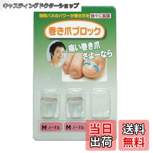 yz܃ubN ␳Pi MTCYm[} TCYF2 (x 1)