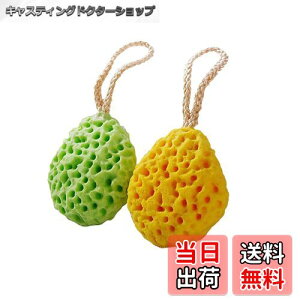 yz{fBX|W v~AoX[X|W z _炩 ь Ȃ ɗD c xr[ qp lppi VRC LɖA Aălbg