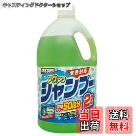 【送料無料】CCウォーターゴールド シャンプー 色：アワアワシャンプー