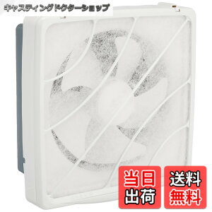 �y���������z���{�Y�� ��ʊ��C��t�B���^�[�t25cm FFB-250