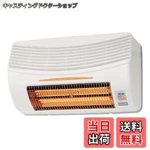 �y���������z���{�Y��(TSK) �������C�����g�[�@(�ǖʎ�t�^�C�v�E���C������^�C�v) BF-861RGA