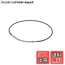 楽天市場】rakuwaネックx100 カーボン シルバーの通販