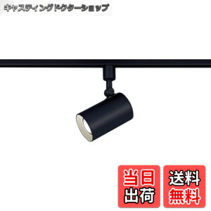�y���������z�p�i�\�j�b�N(Panasonic) �X�|�b�g���C�g LSEB6119KLE1 60�`���� �d���F �u���b�N