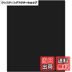 �y���������zBauhutte (�o�E�q���b�e) �f�X�N���� �`�F�A�}�b�g ���[�W BCM-180BK �u���b�N [ ����T�C�Y 160x180cm ����1.5mm ]