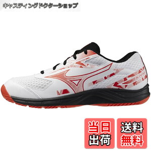 �y���������z�X�J�C�u���X�^�[ 4 71GA253301255