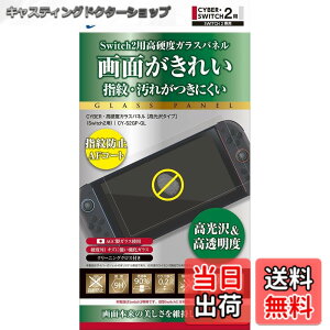 �y���������zCYBER �E ���d�x�K���X�p�l�� �i Switch2 �p�j ������^�C�v