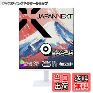�y���������zJAPANNEXT 27.6�C���` IPS�p�l������ SDQHD(2560x2880)�𑜓x �c���t�����j�^�[ JN-IPS276SDQHD-HSPC6-CMS HDMI DP USB Type-C(�ő�65W���d) HDR sRGB:100% DCI-P3:97% Web�J����/�}�C�N���� �A�X�y�N�g�� 16:18 PBP/