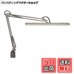 �y���������z�R�c�Ɩ�(Yamada Shomei) Z-Light �V���o�[ Z-10GSL