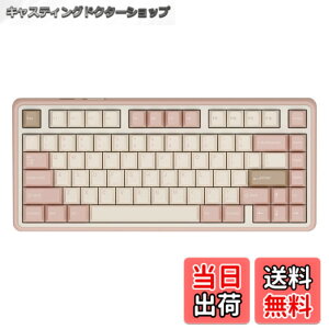 �y���������zVarmilo �Q�[�~���O�L�[�{�[�h ���s�b�h�g���K�[ Minilo75 HE ���C�X�C�b�` �z�b�g�X���b�v 75% G.Mendozae ���{���K�㗝�X�i