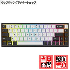 �y���������zArbiter Studio �Q�[�~���O�L�[�{�[�h ���s�b�h�g���K�[�Ή� ���C�X�C�b�` TENKO Polar 65 + �A���~�t���[�� 65% Black Panda ���{���K�㗝�X�i