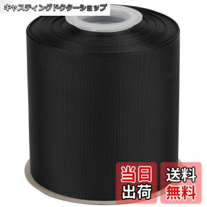 yzyIDECORRIBBONSzOO{ 100mm×S22m ubN(#030) 1[bE{wASEv[gbsOEDIY|