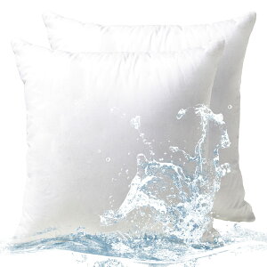 �y���������z�y ����zPhantoscope �N�b�V���� ���g 45×45cm 2�Z�b�g ����V���R���� �R�ۖh�L �􂦂� �_�炩�� �k�[�h�N�b�V���� �������H �h�� �{�����[���� ���O �z�e���d�l ��e���ǂ� ����