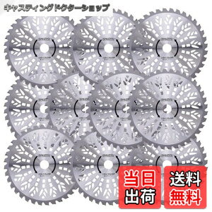�y���������zSHUZIYU �����@�p�`�b�v�\�[ 230x36P 10���g