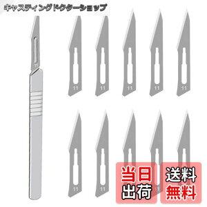 yzHƗpX nhX Yf|ޗ DIY ؍H NtgiCt u[h͌\ł AؒfA蒤AUȂǂ i 11p*1pcs+11n*10pcs j