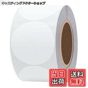 �y���������zHybsk ���M���x���V�[�� 50x50mm �ی` 750���AMUNBYN�APhomemo 246S �Ή� ���x���V�[�� �ϐ�/�ϖ�/���S�����M�p�� �A�X�ֈ��� qr�R�[�h �V�[�� �l�D�V�[�� �H�i�\�� DIY�^�u ���i���x�� ����