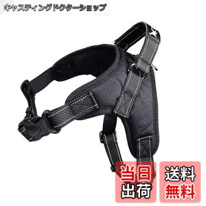 yzpn[lX[_[Zbg   bV \tg Ȃ ʋC ߉\ h~ ^ ^ U/P/o| (XS, ubN)