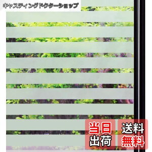 yzQualsen KXtB ډB V[g  tB  ߂V[g ptB œ\  Ռ fM ՔM Ih~ uvJbg ֖ډB Uh~ KX {