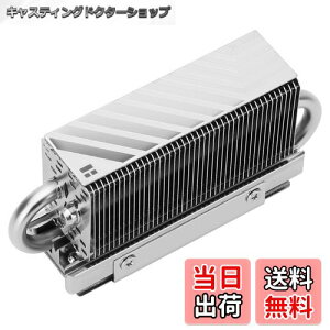 yzThermalright HR10 2280 SSDN[[A2280 SSDq[gVNpAʃq[gVNA2{̓q[gpCvAfXNgbv\2280 SSDN[[AT[}pbhtiHR10 2280)