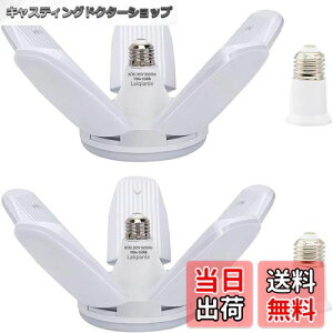 yzLaiqianleK[WCg 100w 2 LEDV[OCg y_gCg Ɠ 6 F 6500K VƖ tȒP Hsv px߉\ ȃGl Ԍ q [ HpCg 