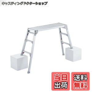 �y���������z���J��H��(Hasegawa) �r���L�k����� DRS-1000c (0.65~0.96m) (17677)�y2020�N���f���z