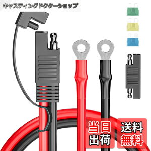 �y���������zCleqee SAE�[�d�P�[�u�� 60cm �o�b�e���[�����P�[�u�� SAE����O�����O�^�[�~�i���n�[�l�X 10AWG �I�[�g�o�C�o�b�e���[�[�d�� SAERP�A�_�v�^�[�t�� 15A / 20A/30A�q���[�Y �\�[���[�p�l���A