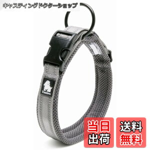 �y���������zcocomall���{�����X ����� ���̎�� �P���p ���^�A���^�A��^���p �y�b�g�p�i 3M���ˍޗ� �i�C������ �ʋC�� �e�͐� �\�t�g���b�V�� �ȒP���� ������� ���߉\ (XXL, �O���[)