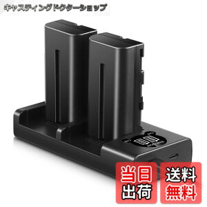 �y���������zENEGON Sony NP-F550/NP-F570�݊��o�b�e���[�i2�j2900mAh+USB�[�d�� �Ή�NP-F530/ NP-F550 /NP-F570/ NP-F330/ CCD-RV100/ RV200/ TR1 /TR940 /TR917 /CN-160 /CN-216 /CN-304 /YN 300 /V607u /V617u