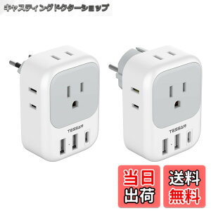 �y���������zTESSAN �ϊ��v���O C�^�C�v SE�^�C�v �C�O���s�p 4��AC������ 3USB�|�[�g�t�� �؍�/�C�^���A/�X�y�C��/�h�C�c ���[���b�p�Ȃǂ̍��ɑΉ�
