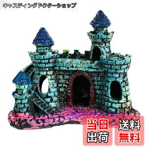 yzCharmoon  IuWF  {a B VF^[ ANAE I[ig u  (J[B)