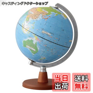 �y���������z���C���C���� �n���V �搶�������ߏ��w���̒n���V 20cm OYV11