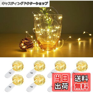 �y���������zLighting EVER LED�X�g�����O���C�g �d�r���t�F�A���[���C�g LED�C���~�l�[�V���� 1m 20LED �d���F �h���������C���[ �N���X�}�X���� ������ �p�[�e�B�[ �������C�g �N���X�}�X�c���[