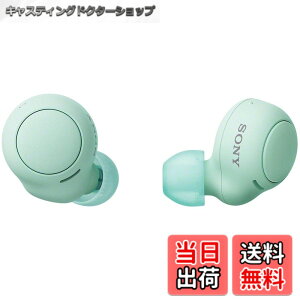 �y���������z�\�j�[(SONY) ���S���C�����X�C���z�� WF-C500 : /�y�ʏ��^5.4g/�����x�ʘb�i��/�ȒP�y�A�����O/IPX4�h�H���\/�A�C�X�O���[�� WF-C500 GZ