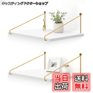 �y���������zAfuly �E�H�[���V�F���t �Ǌ|���I �� ��42cm ���s��30cm �I �Ǌ|�����b�N �E�H�[�����b�N �ǖʎ��[ �V�R�� �ؐ� ����I ������� 2�Z�b�g